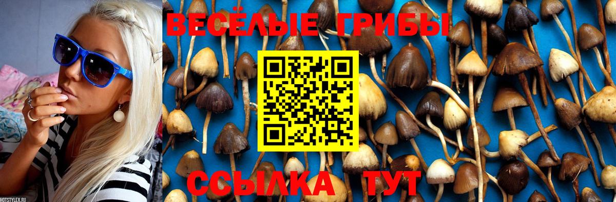 Галлюциногенные грибы прущие грибы  Галлюциногенные грибы MAGIC MUSHROOMS  Саки  закладки  Вход с VPN 